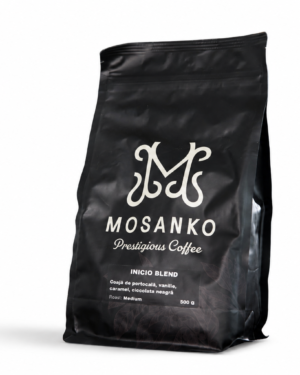 Inicio Blend